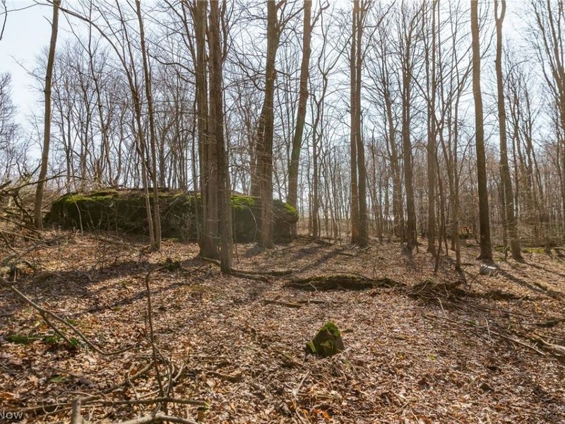 Nebraska Road, Dundee, OH 44624 Photo 47