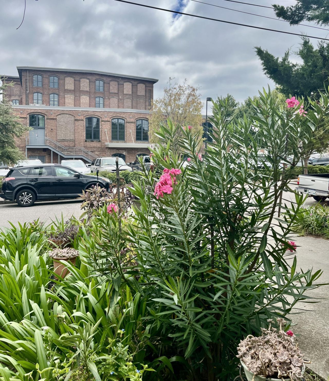 10 Blake Street Photo 5