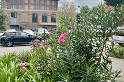 10 Blake Street photo 4