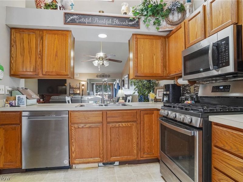 17 Harneds Landing, Cortland, OH 44410 Photo 3