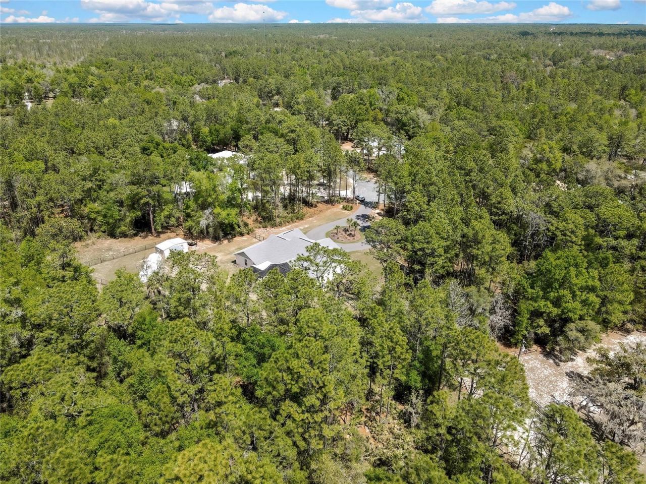 3991 N Buckhorn Drive , Beverly Hills, FL 34465 Photo