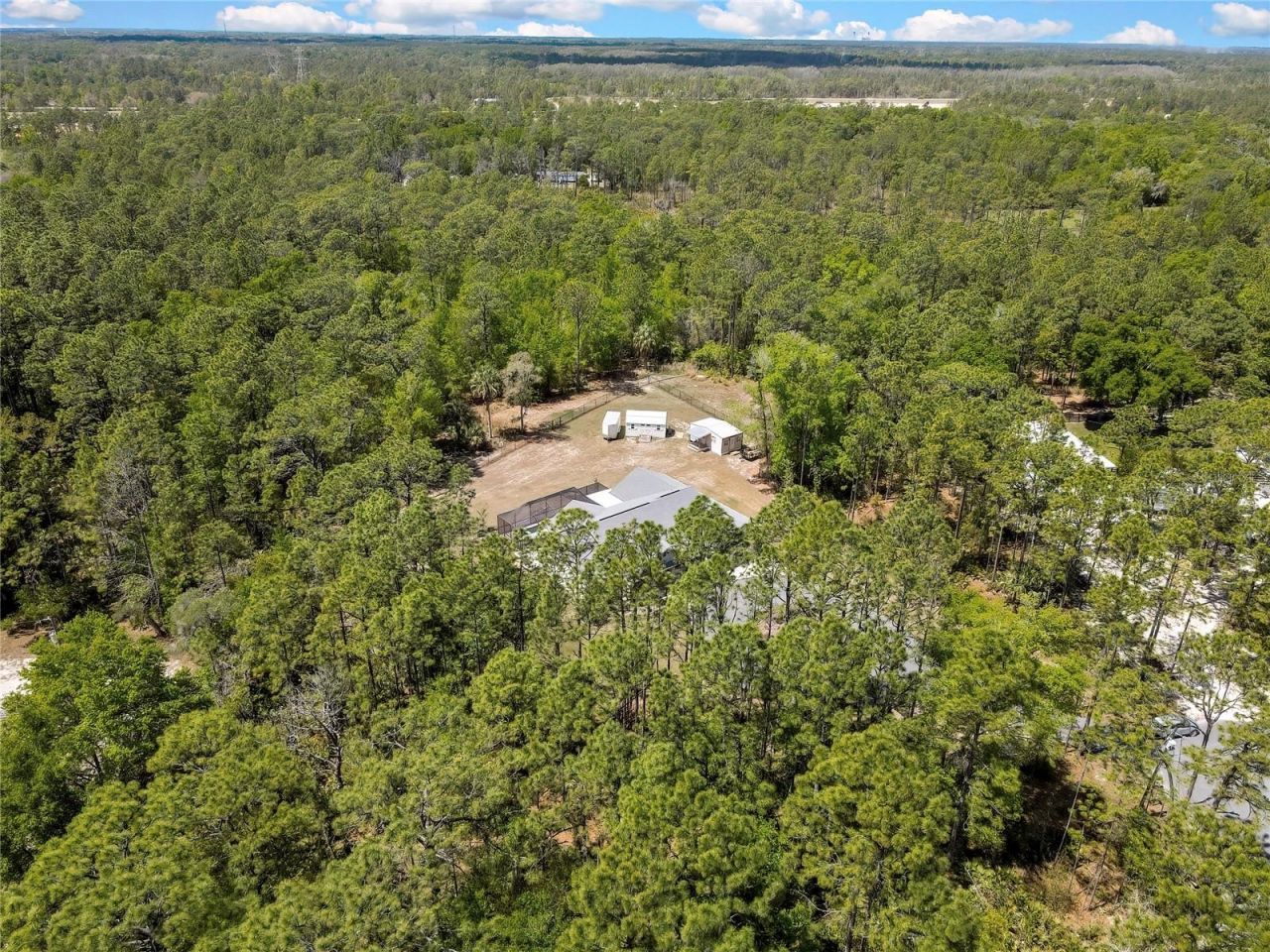 3991 N Buckhorn Drive, Beverly Hills, FL 34465 Photo