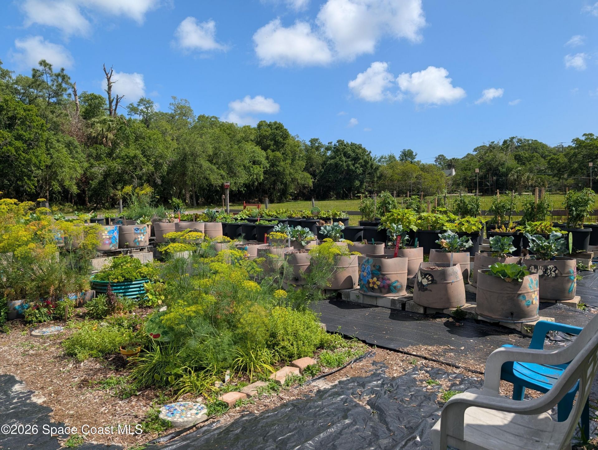 5798 Carissa Road , Palm Shores, FL 32940 Photo