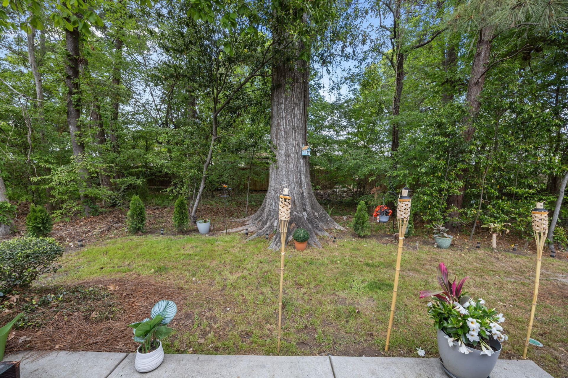 5150 Trump Street Photo 26