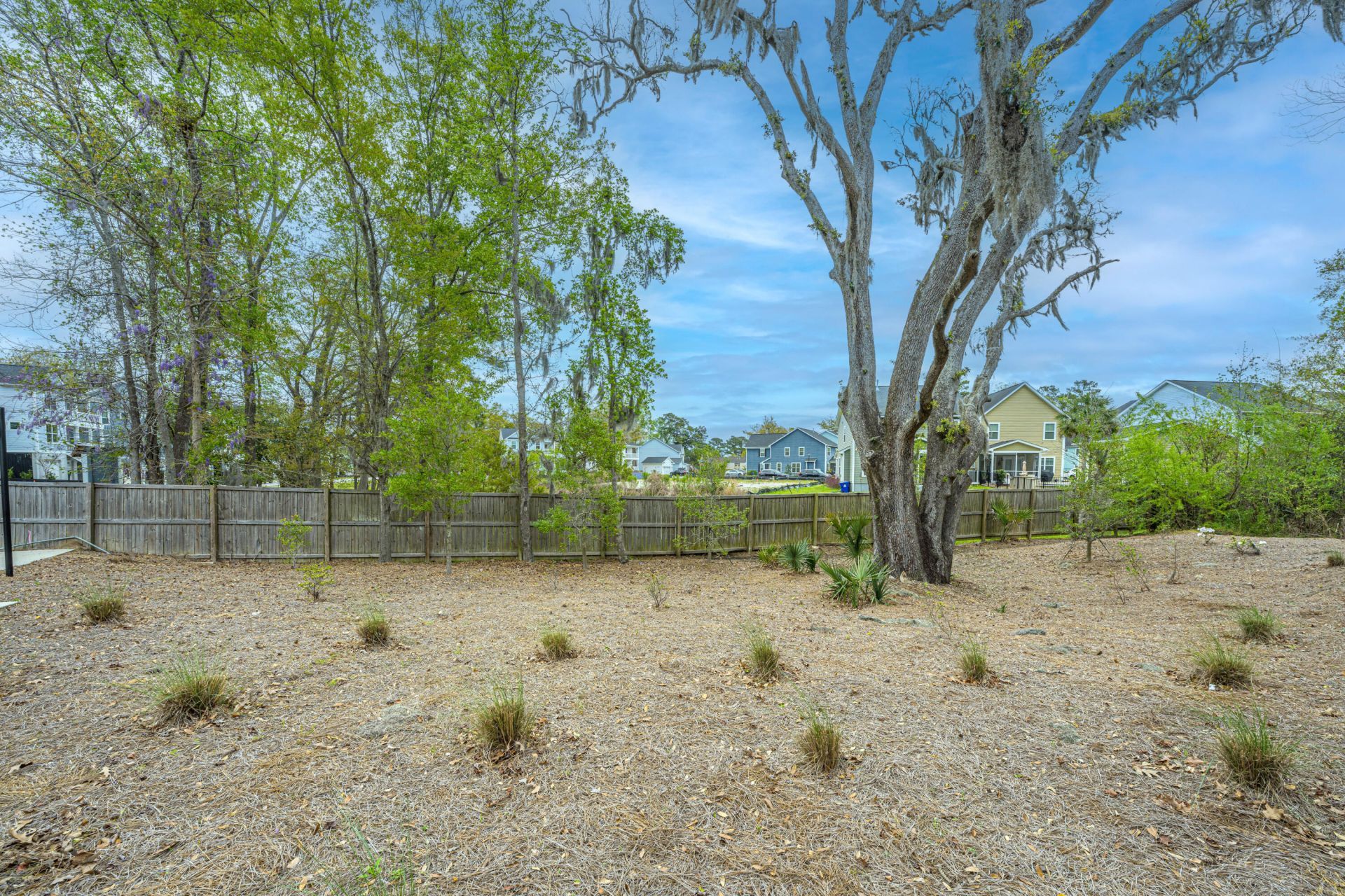 206 Cache Court Photo 10