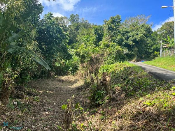 Lot 7 PR 156, Comerio, PR 00782