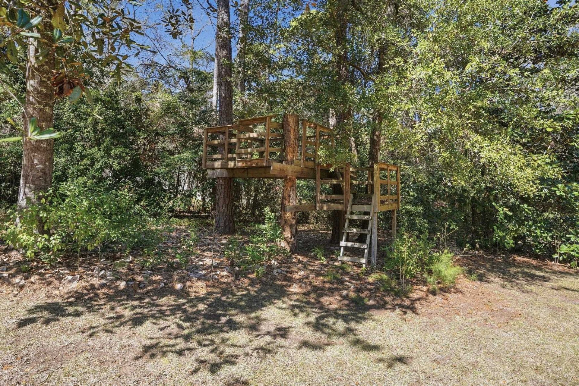 3505 Cedar Lane Drive, Tallahassee, FL 32312 Photo