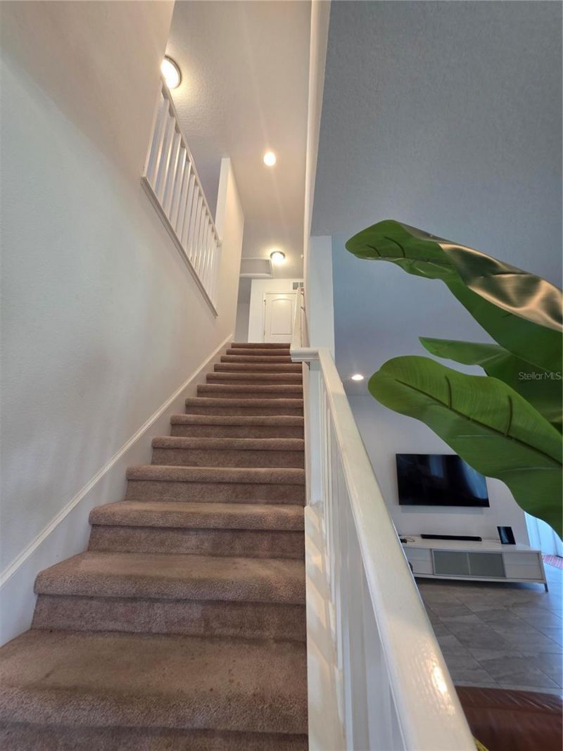 9714 Provencal Avenue, Seffner, FL 33584 Photo