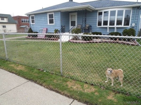 56 Peoria Avenue, Buffalo, NY 14206