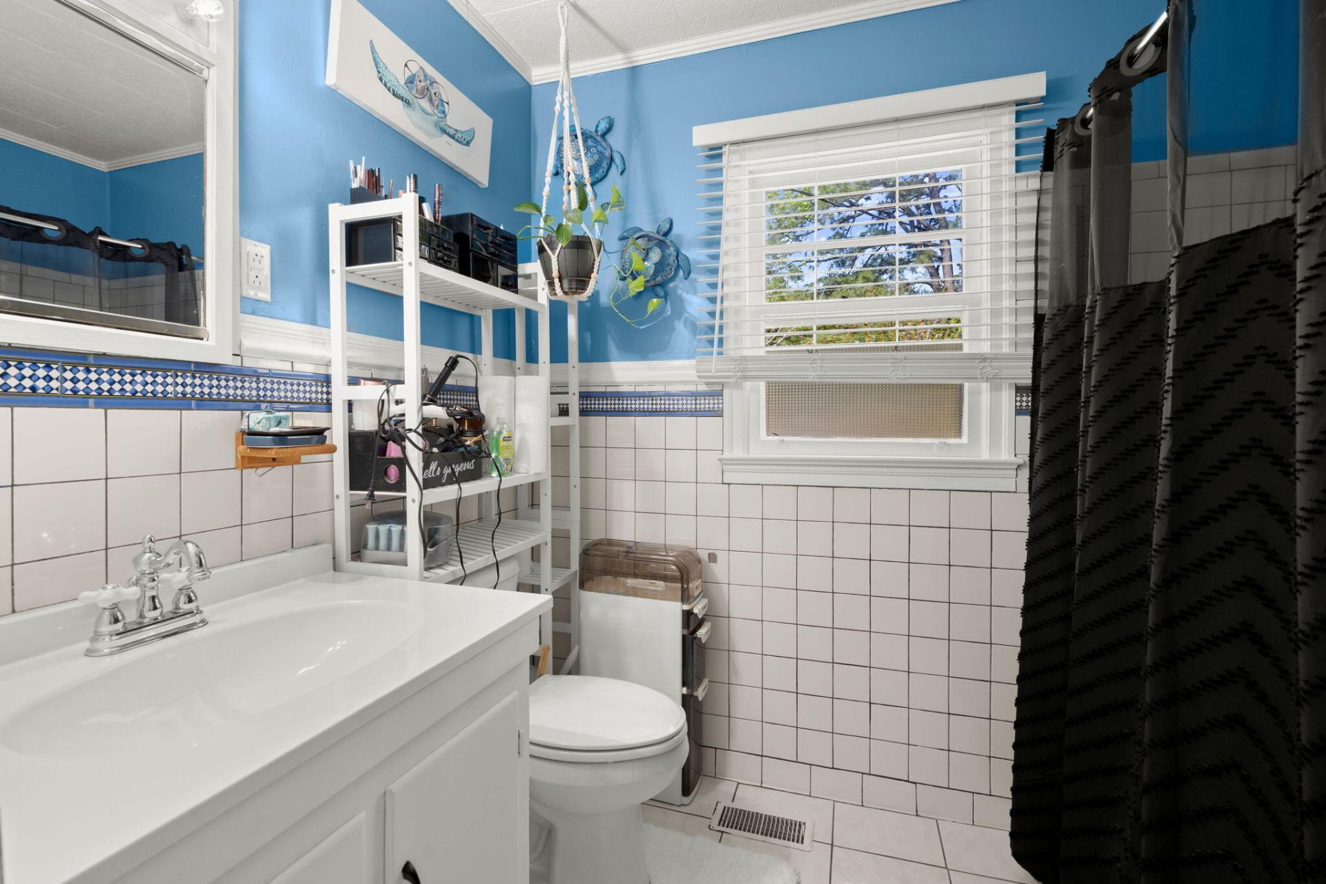 315 George Street Photo 20