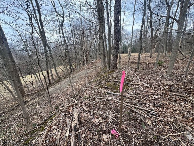 691 SOM Center Road, Mayfield Village, OH 44143 Photo 10