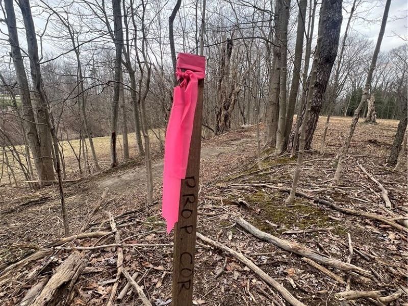 691 SOM Center Road, Mayfield Village, OH 44143 Photo 11