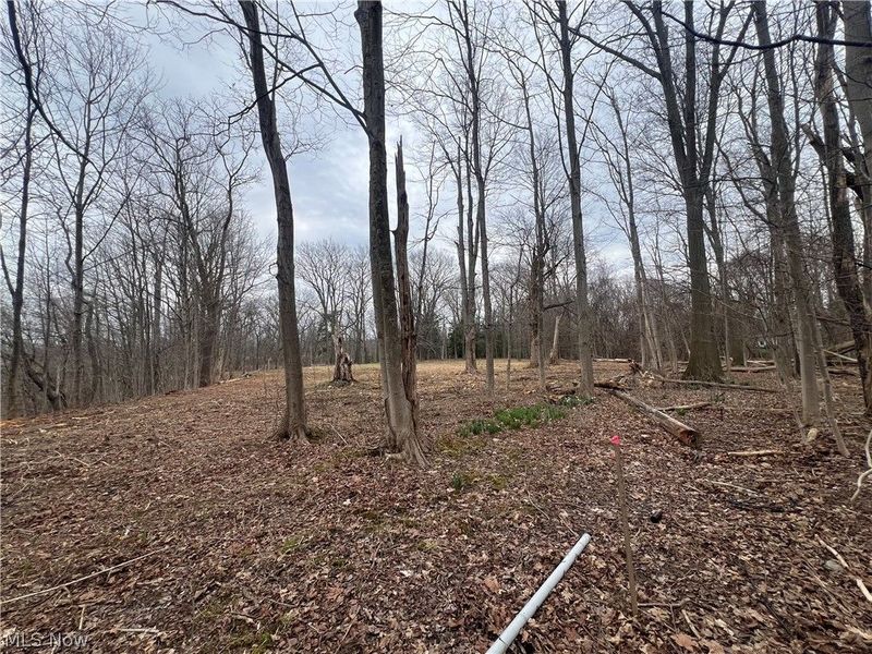 691 SOM Center Road, Mayfield Village, OH 44143 Photo 12