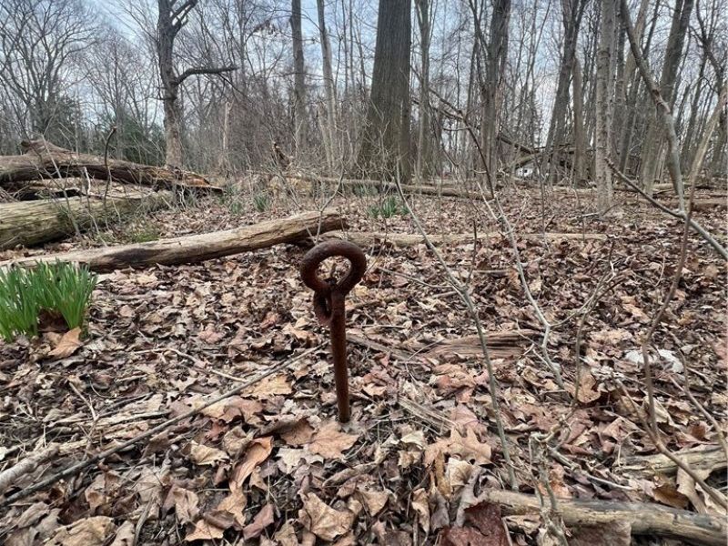 691 SOM Center Road, Mayfield Village, OH 44143 Photo 13