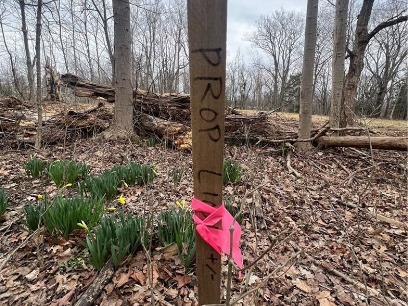 691 SOM Center Road, Mayfield Village, OH 44143 Photo 14