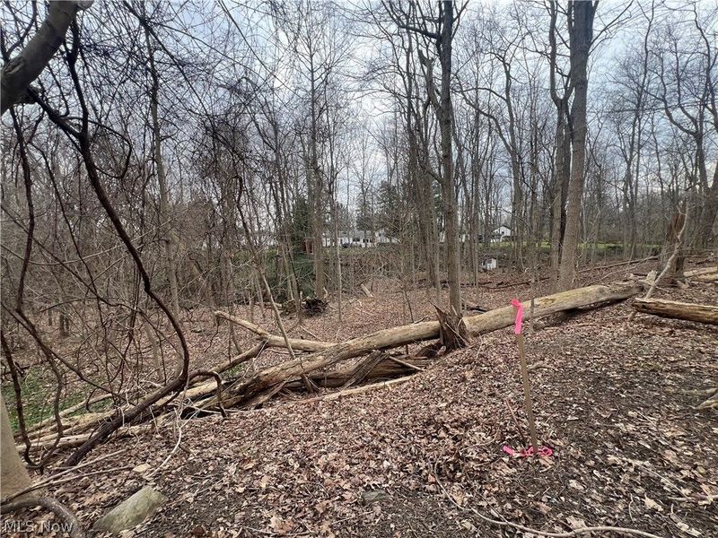 691 SOM Center Road, Mayfield Village, OH 44143 Photo 15