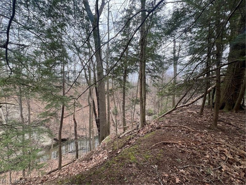 691 SOM Center Road, Mayfield Village, OH 44143 Photo 16