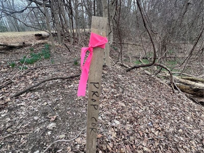 691 SOM Center Road, Mayfield Village, OH 44143 Photo 17