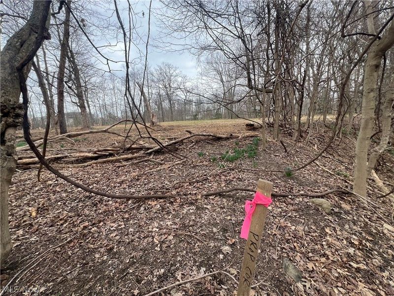 691 SOM Center Road, Mayfield Village, OH 44143 Photo 18