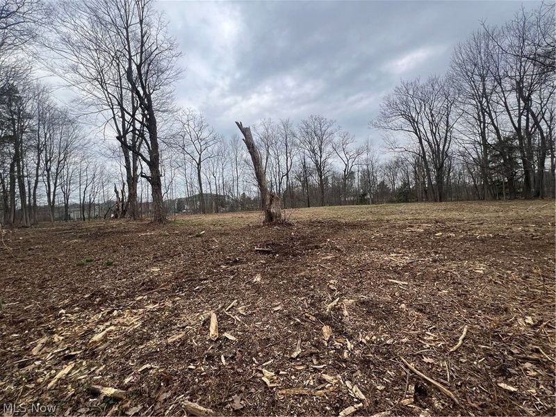 691 SOM Center Road, Mayfield Village, OH 44143 Photo 19