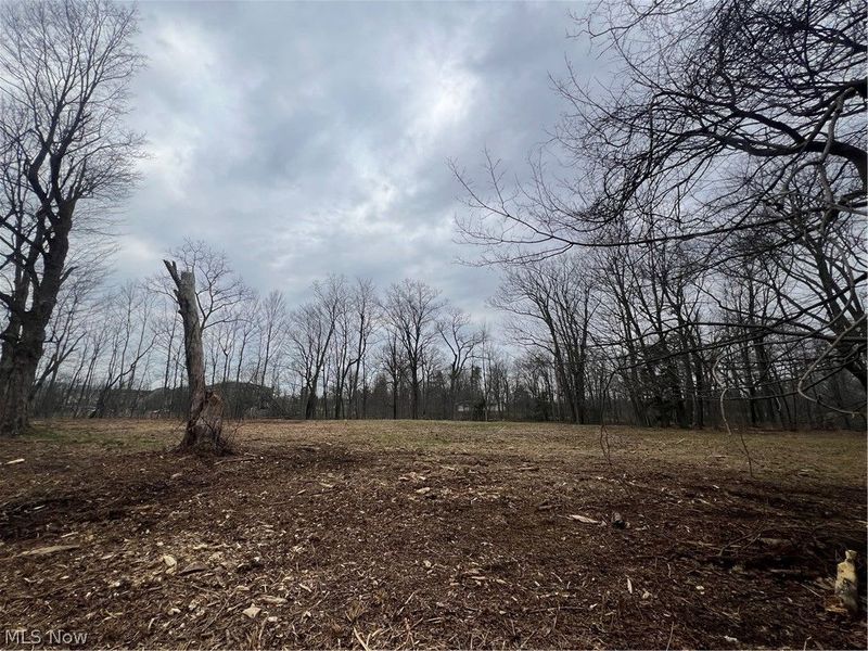 691 SOM Center Road, Mayfield Village, OH 44143 Photo 20