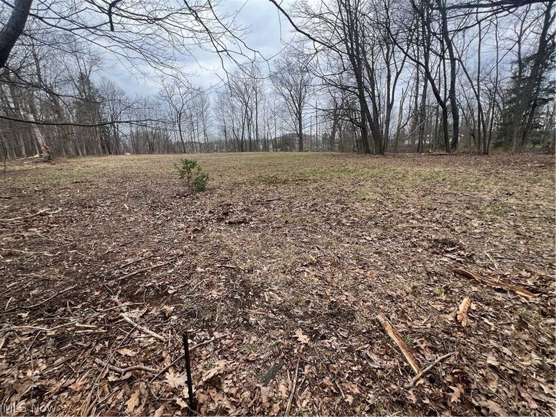 691 SOM Center Road, Mayfield Village, OH 44143 Photo 22