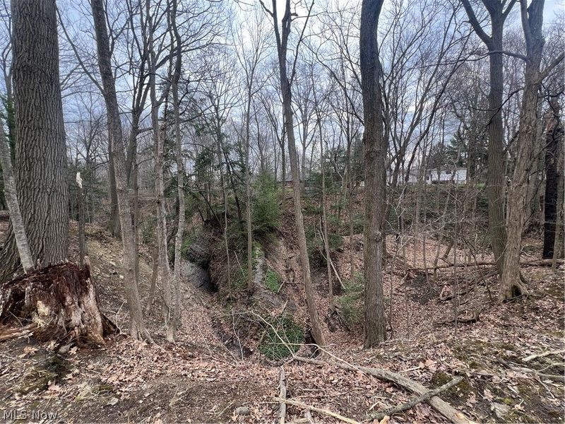 691 SOM Center Road, Mayfield Village, OH 44143 Photo 23