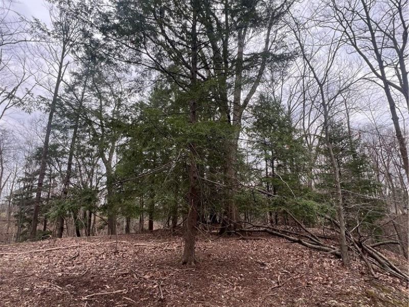 691 SOM Center Road, Mayfield Village, OH 44143 Photo 25