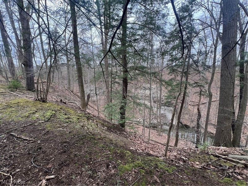 691 SOM Center Road, Mayfield Village, OH 44143 Photo 26