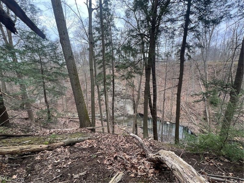 691 SOM Center Road, Mayfield Village, OH 44143 Photo 27