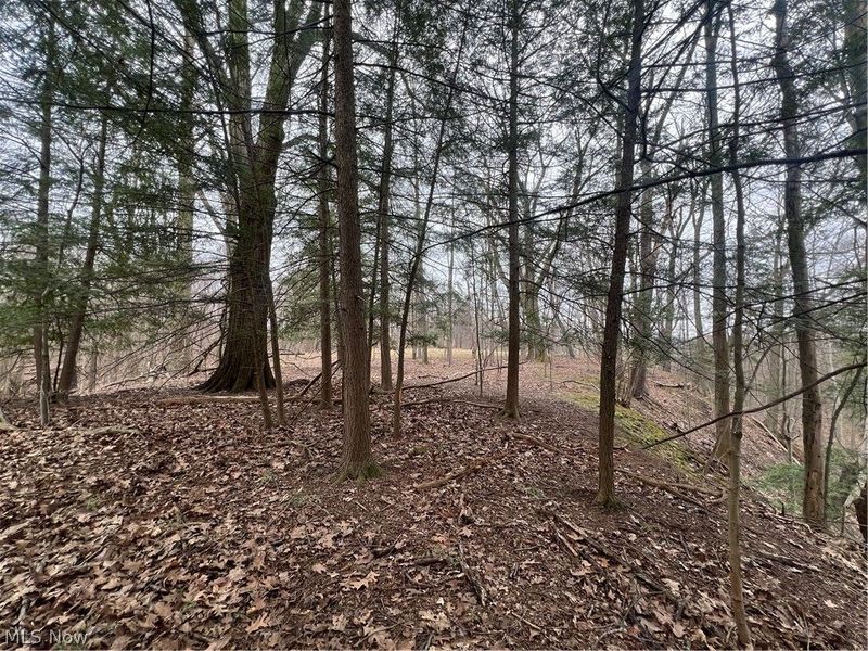 691 SOM Center Road, Mayfield Village, OH 44143 Photo 28