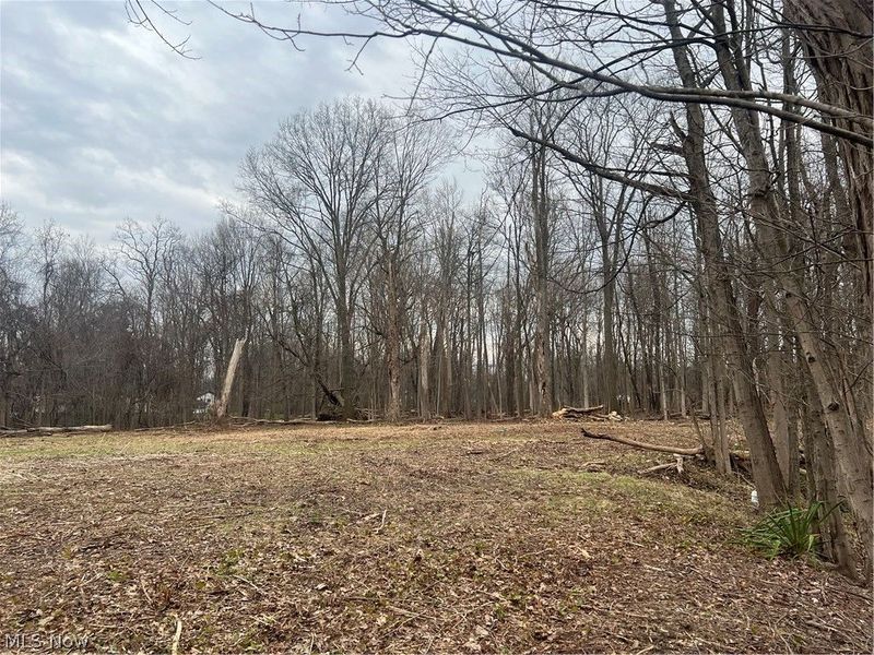 691 SOM Center Road, Mayfield Village, OH 44143 Photo 30