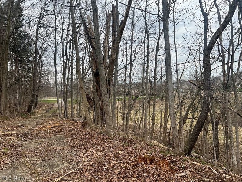 691 SOM Center Road, Mayfield Village, OH 44143 Photo 32