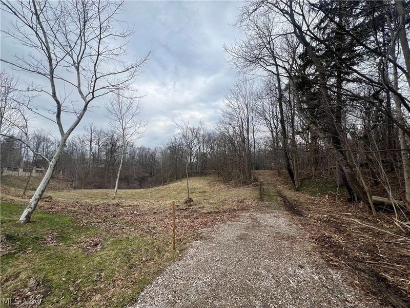 691 SOM Center Road, Mayfield Village, OH 44143 Photo 6