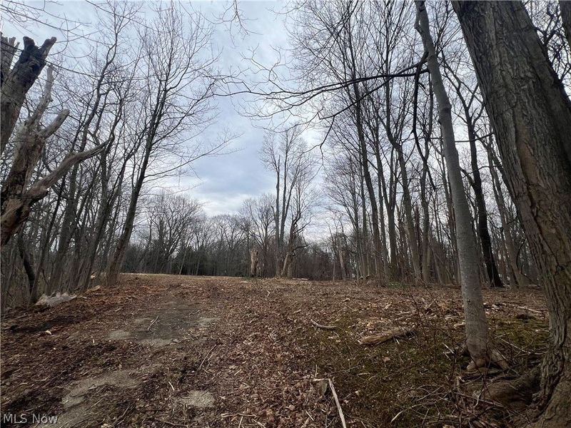 691 SOM Center Road, Mayfield Village, OH 44143 Photo 8