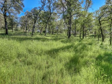 10360 Melody Rd, Smartville, CA 95977 Photo