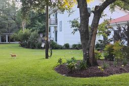 10358 Constitution Dr. photo 4