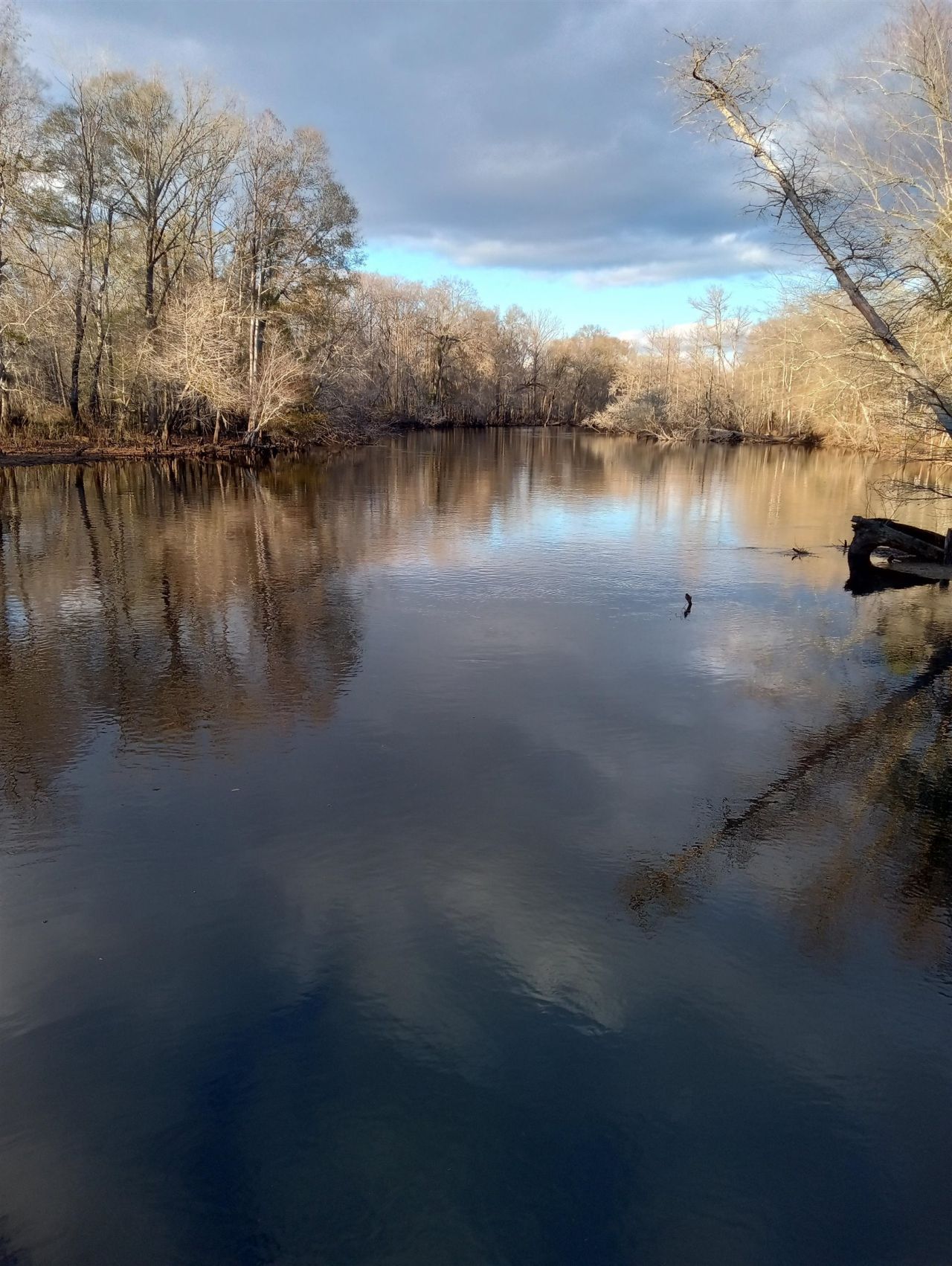 10358 Constitution Dr. Photo 25