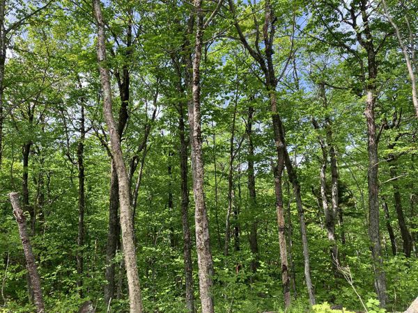 404 Fox Mt Road, Unit M404, Wilmington, VT 05356