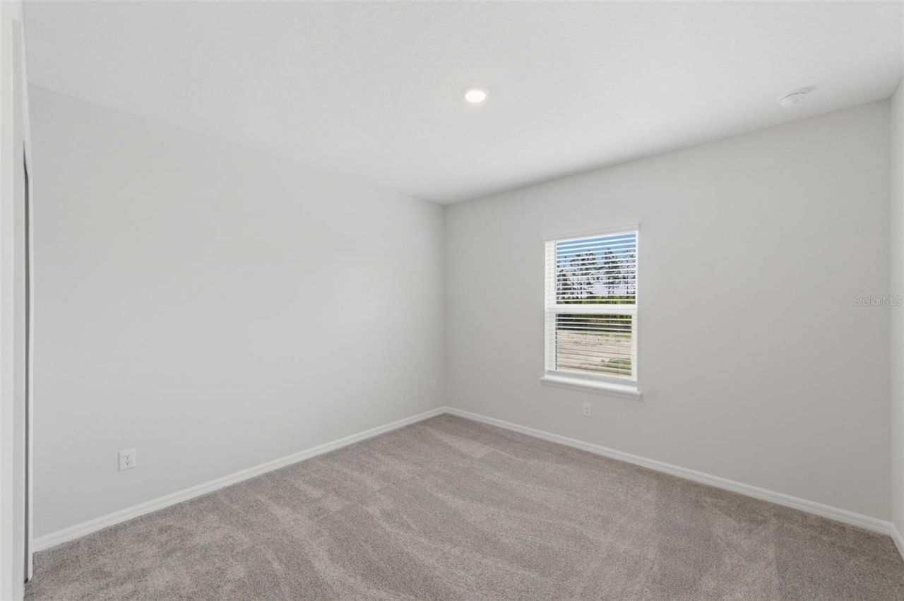 1645 Trailhead Lane , Zephyrhills, FL 33541 Photo