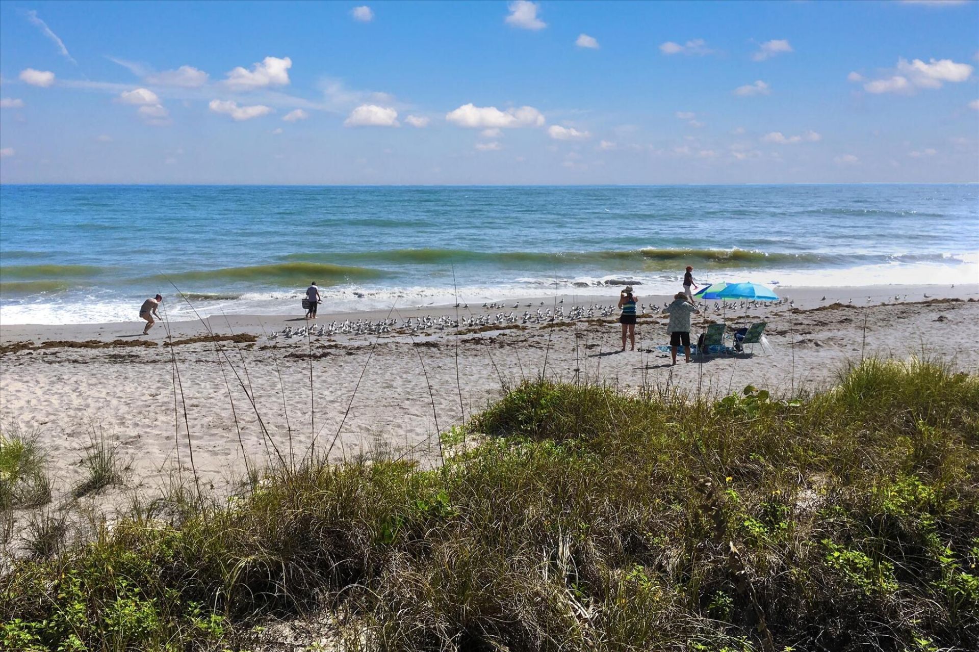 235 11th Square Sw, Vero Beach, FL 32962 Photo