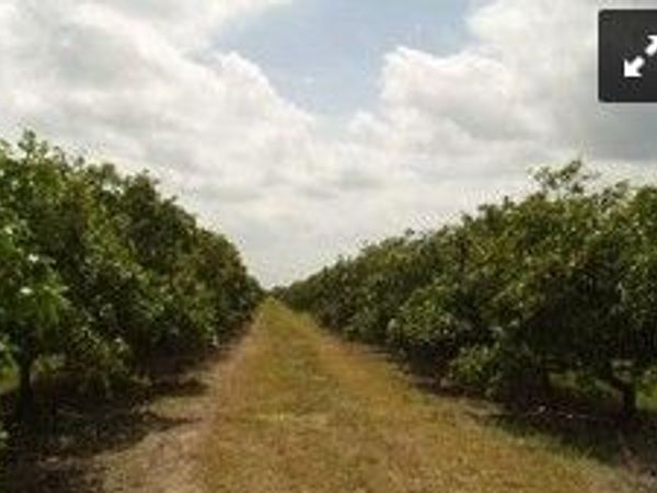 15255 111th Street, Fellsmere, FL 32948