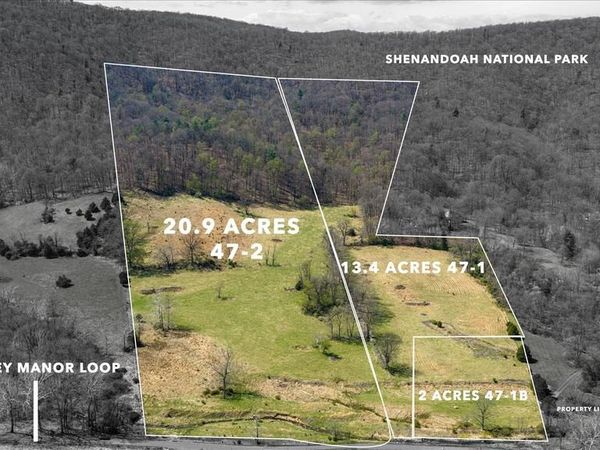 GOONEY MANOR LOOP, BENTONVILLE, VA 22610