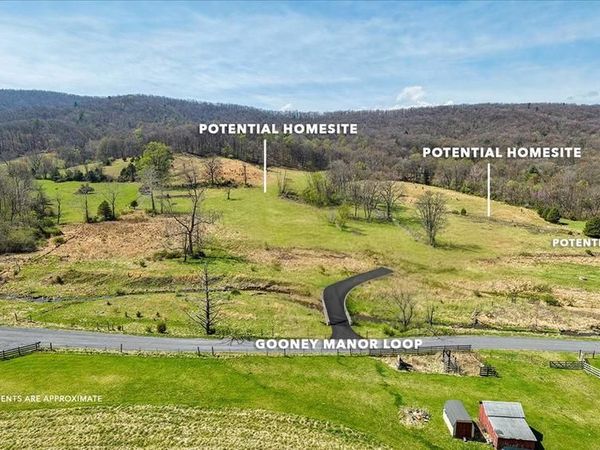 GOONEY MANOR LOOP, BENTONVILLE, VA 22610