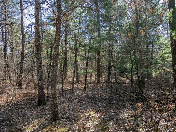 Lot 3 Morros Mile Road, Necedah, WI 54646