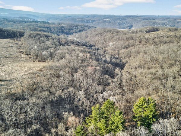 271.18 acres Zwettler/Foster Road, Arena, WI 53503