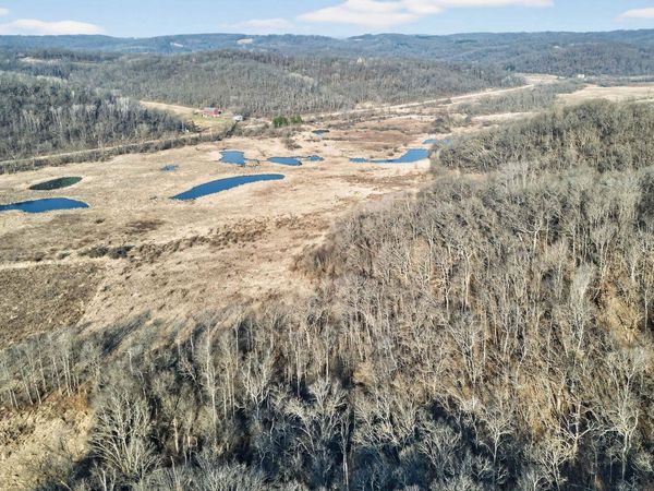 271.18 acres Zwettler/Foster Road, Arena, WI 53503