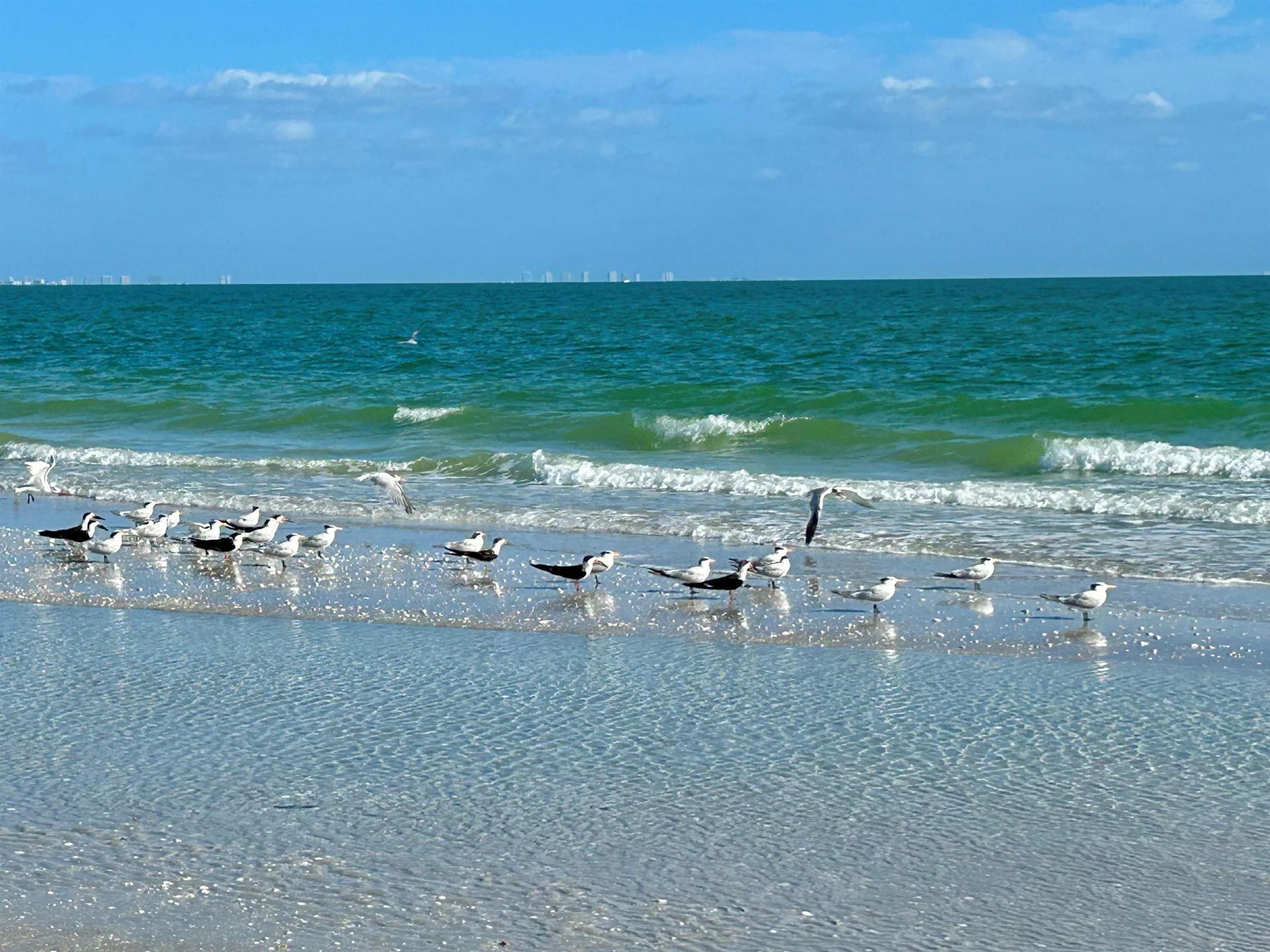 631 Nerita St, Unit A-5, Sanibel, FL 33957 Photo