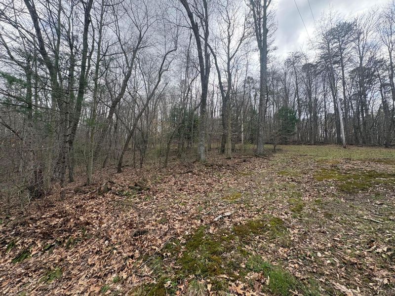 Sugar Grove, OH 43155 Photo 2