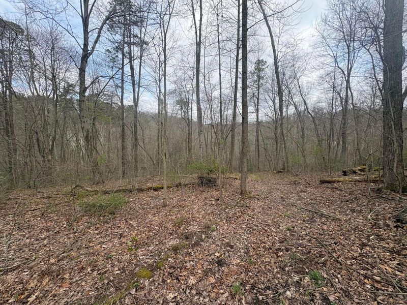 Sugar Grove, OH 43155 Photo 5